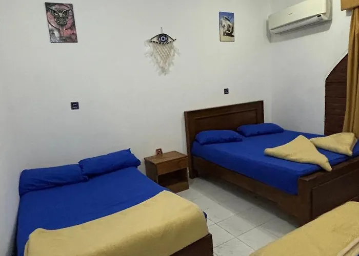 Hostel Sina House